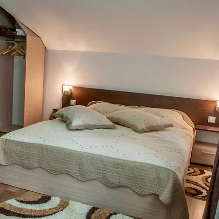 Guest house La Raducu