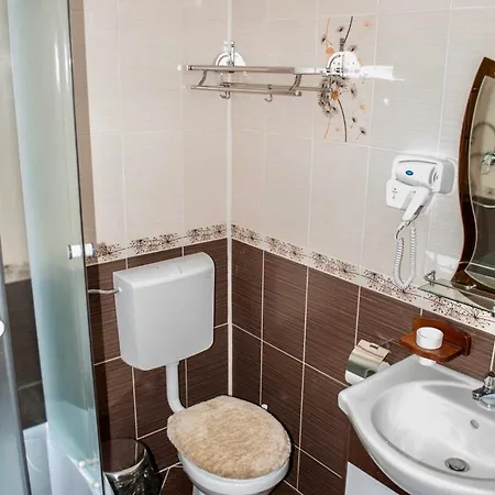 Guest house La Raducu