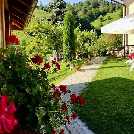 Guest house La Raducu
